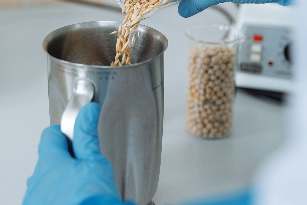 Muestra de granos en laboratorio de calidad